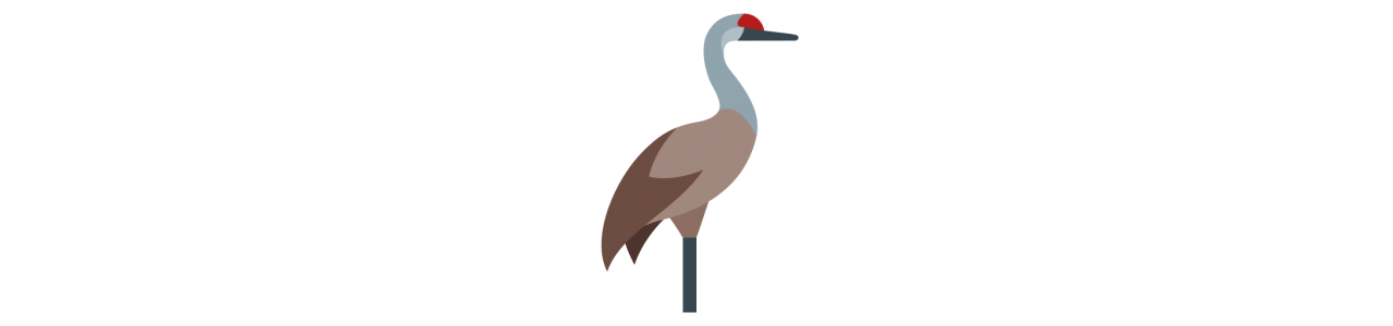 Mascotas del pájaro Dodo - Disfraz de mascota -