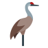 Dodo-fågelmaskotar