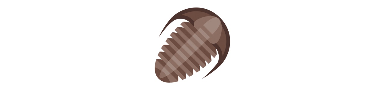 Mascottes Trilobites - Mascottes - Redbrokoly.com