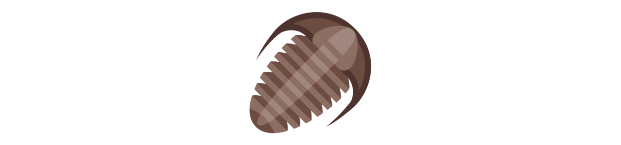 Trilobiten-Maskottchen - Maskottchenkostüm -