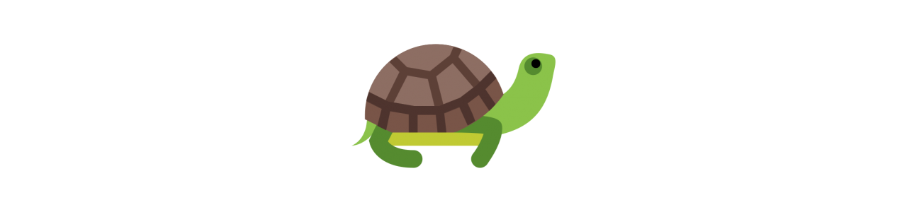 Mascotas de tortuga - Disfraz de mascota -