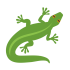 Lizard Mascots