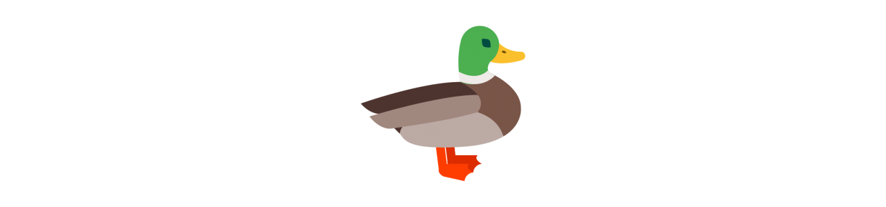 Muscovy Duck-maskoter – Maskotkostyme –