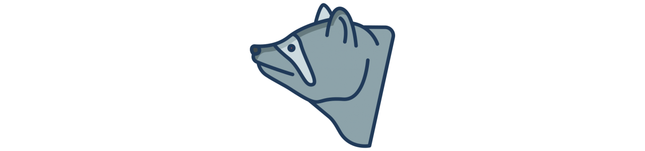 Vaskebjørn maskot – Maskotkostyme – Redbrokoly.com