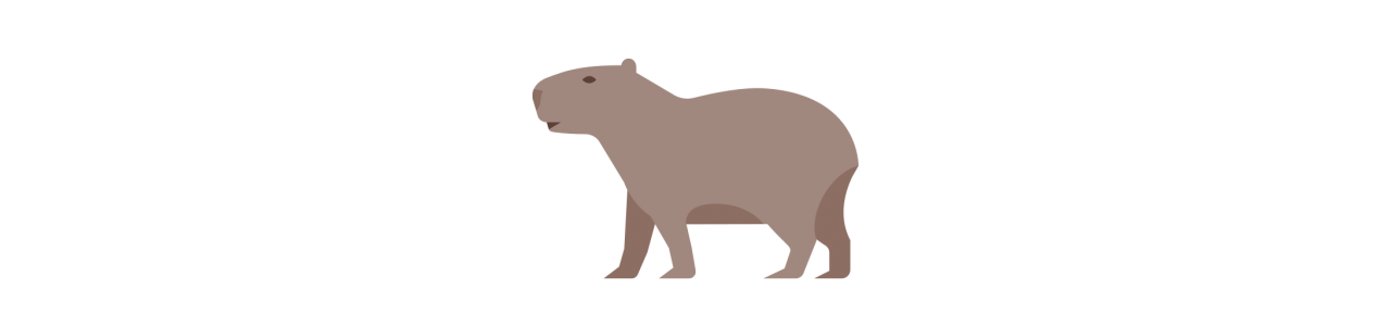 Capibara-mascottes - Mascottekostuum -
