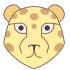 Cheetah maskotar