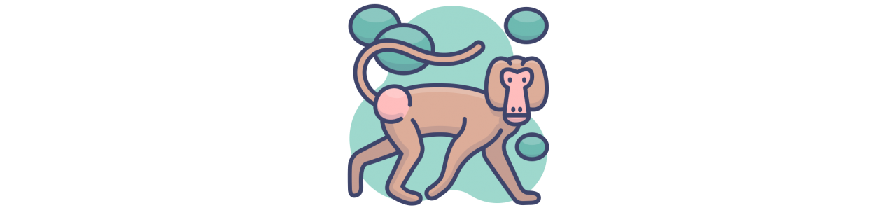 Mascotes babuínos - Traje Mascote - Redbrokoly.com
