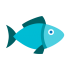 Mascotas de mariscos