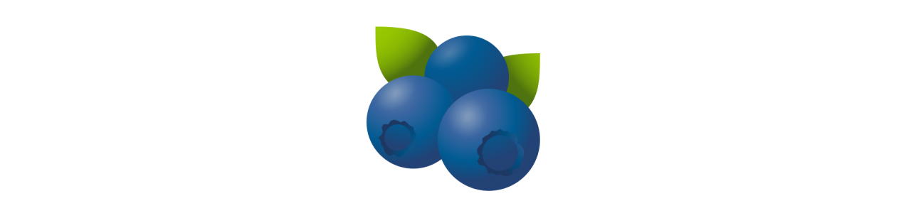 Blueberries Mascots - Mascot Costumes -
