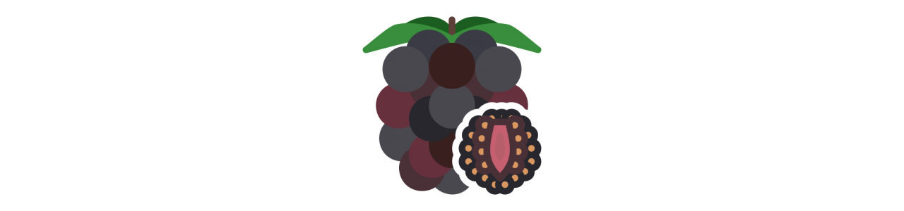 Blackberries Mascots - Mascot Costumes -