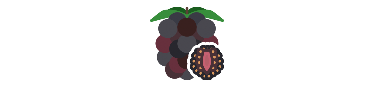 Brombeer-Maskottchen - Maskottchenkostüm -