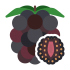 Brombær maskotter