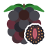 Mascotas de moras