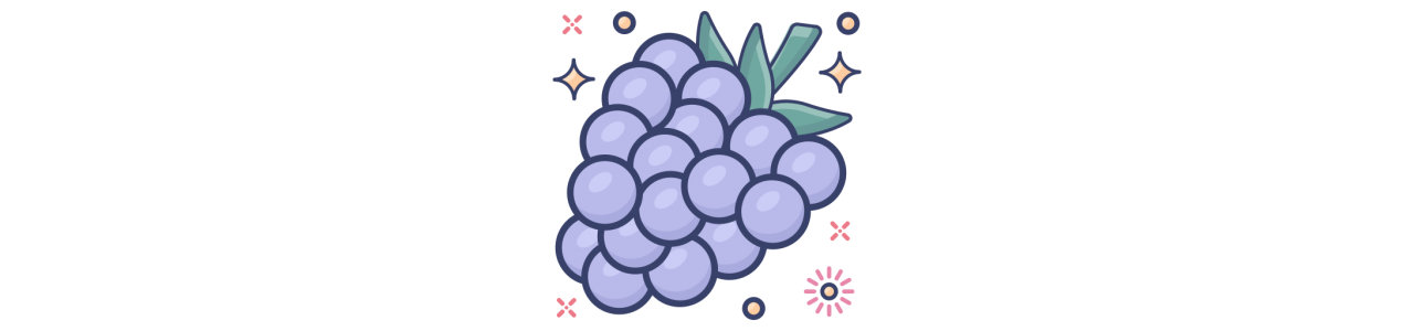 Raspberries Mascots - Mascot Costumes -
