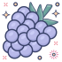 Raspberries Mascots