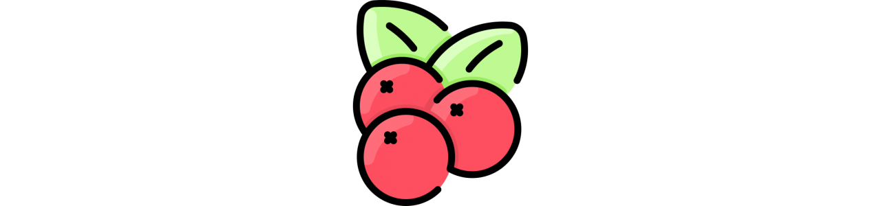 Cranberries Mascots - Mascot Costumes -