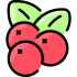 Cranberries Mascots