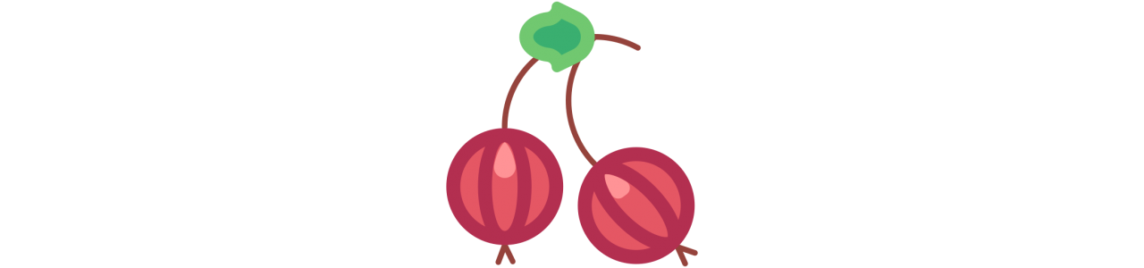 Mascotte di uva spina - Costume mascotte -