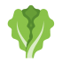 Lettuce Mascots