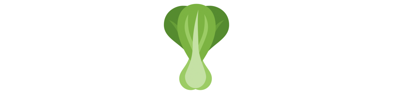 Bok Choy-Maskottchen - Maskottchenkostüm -