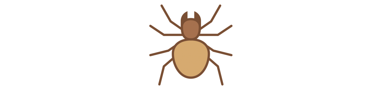 Mascotas Tarántula - Disfraz de mascota -