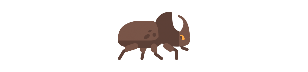 Mascotas de escarabajo - Disfraz de mascota -