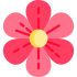 Maskoti květin