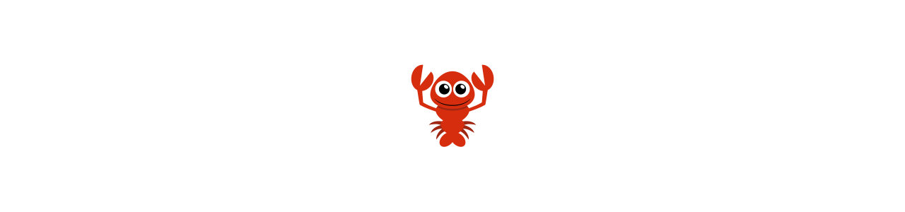 Lobster Mascots - Mascot Costumes - Redbrokoly.com