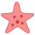 Mascotas de estrellas de mar